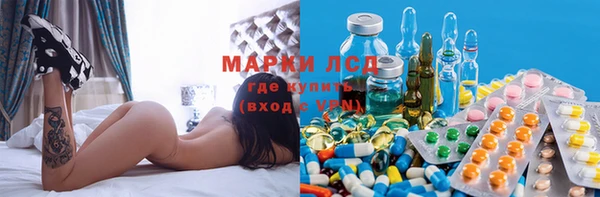 твердый Богданович