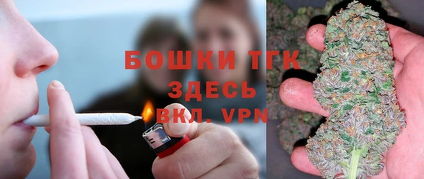 твердый Богданович
