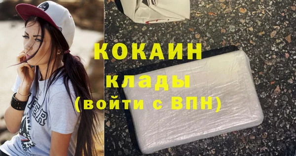 твердый Богданович