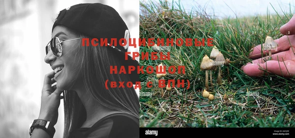 твердый Богданович