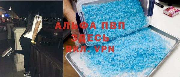 твердый Богданович
