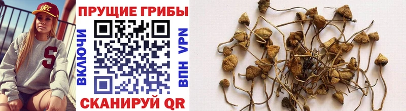 Галлюциногенные грибы MAGIC MUSHROOMS Краснознаменск